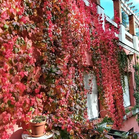Hostal Montsoliu